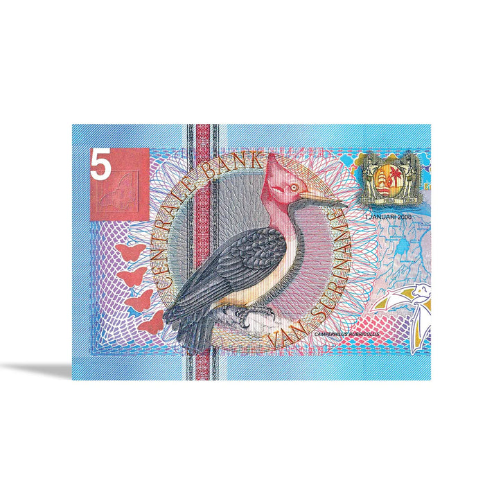 Currency: Series Four Trading Cards Mega Box