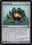 Lotus Bloom [The List]