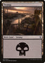 Swamp (263) [Amonkhet]