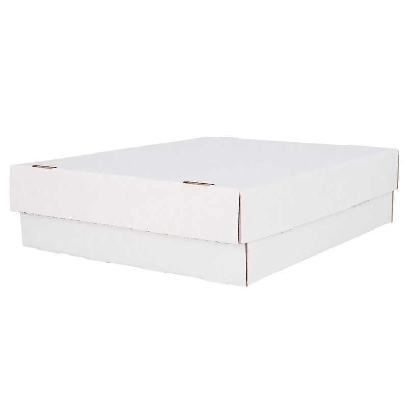 BCW 3200ct Monster Storage Box