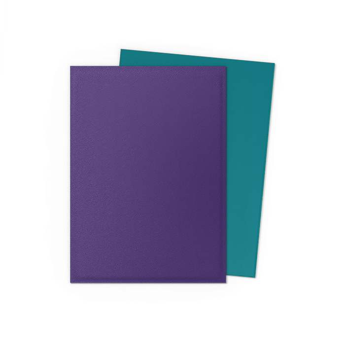 Dragon Shield: Standard 100ct Sleeves - Soul and Petrol