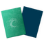 Dragon Shield: Standard 100ct Art Sleeves - Simic Combine