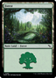 Forest (0285) [Murders at Karlov Manor]