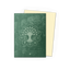 Dragon Shield: Standard 100ct Art Sleeves - Selesnya Conclave