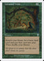 Untamed Wilds [Seventh Edition]