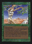 Shanodin Dryads [International Collectors' Edition]