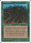 Wall of Wood [Fourth Edition]