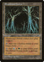 Skyshroud Forest [Tempest]