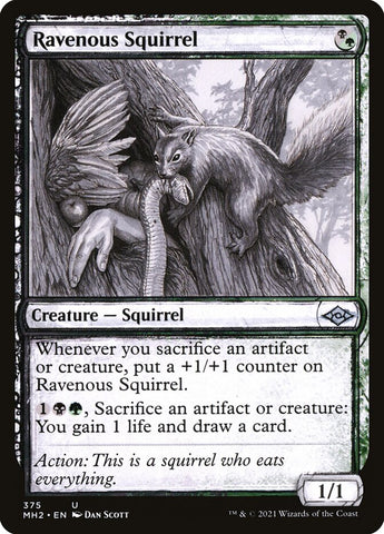 Ravenous Squirrel (Sketch) [Modern Horizons 2]