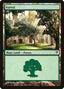 Forest (85) [Duel Decks: Jace vs. Vraska]