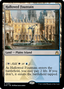 Hallowed Fountain [Ravnica Remastered]