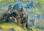 Feywild Trickster Art Card (Gold-Stamped Signature) [Dungeons & Dragons: Adventures in the Forgotten Realms Art Series]