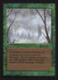 Fog [International Collectors' Edition]
