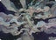 Temporal Cleansing Art Card [Lorwyn Eclipsed Art Series]