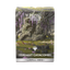 Dragon Shield: Standard 100ct Sleeves - Landfall Series - Verdant Catacomb (Dual Matte)