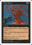 Mind Ravel [Fifth Edition]