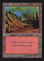 Mountain (No Snow) [International Collectors' Edition]