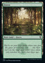 Forest (470) [Commander Legends: Battle for Baldur's Gate]