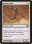 Suntail Hawk (Oversized) [Eighth Edition Box Topper]