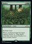 Kudzu [30th Anniversary Edition]
