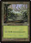 Forest (Sky Visible Top Right) [Tempest]