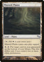 Mistveil Plains [Shadowmoor]