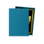 Dragon Shield: Standard 100ct Sleeves - Amazonite