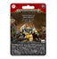 Warhammer Age of Sigmar: Orruk Warclans Megaboss (1 Miniature)