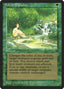 Sylvan Paradise [Legends]