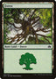 Forest (155) [Planechase Anthology]