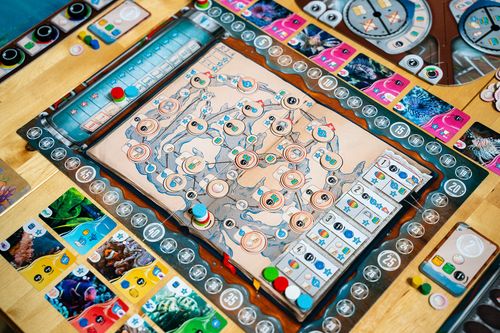 Aquaria Board Game with Microflora Promo — Capstone Games