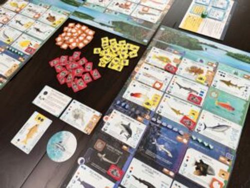 Finspan Sharks & Reefs Expansion Board Game