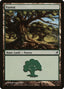 Forest (299) [Lorwyn]