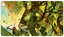 Ultra PRO: Playmat - Brothers War (Titiana's Command)
