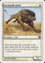 Savannah Lions [Ninth Edition]