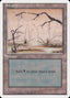 Swamp (Orange Background) [Rivals Quick Start Set]