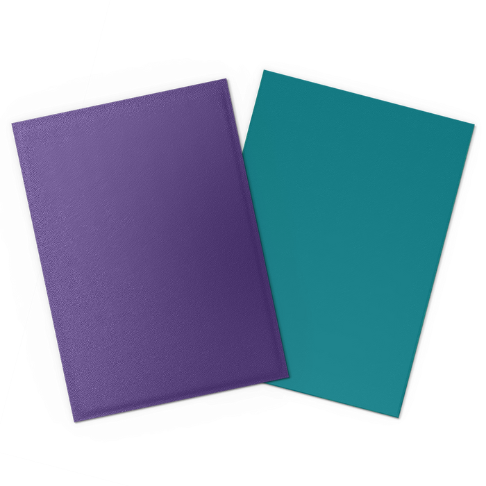 Dragon Shield: Standard 100ct Sleeves - Soul and Petrol