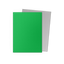 Dragon Shield: Standard 100ct Sleeves - Apple Green & Silver (Dual Matte)
