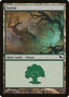 Forest (300) [Shadowmoor]