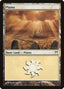 Plains (288) [Champions of Kamigawa]