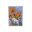 Dragon Shield: Standard 100ct Matte Dual Art Sleeves - The Millerax