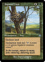 Squirrel Nest (Retro) [Dominaria Remastered]