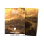Dragon Shield: Standard 100ct Sleeves - Landfall Series - Arid Mesa (Dual Matte)