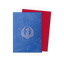 Dragon Shield: Standard 100ct Art Sleeves - Izzet League
