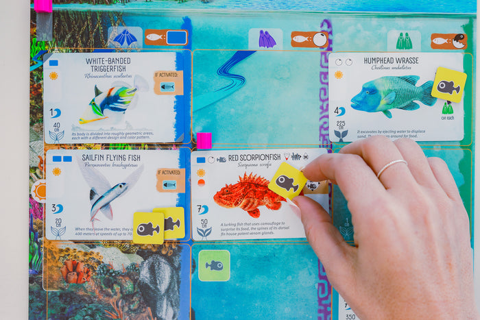 Finspan: A Wingspan Game [Board Game]