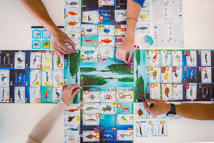 Finspan: A Wingspan Game [Board Game]
