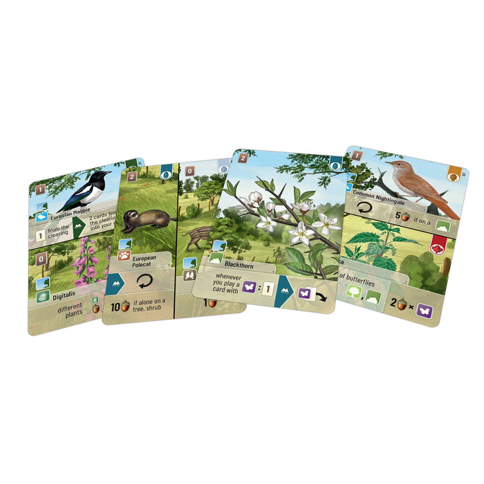 Forest Shuffle: Woodland Edge Expansion [Board Game]