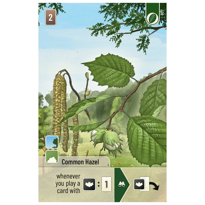 Forest Shuffle: Woodland Edge Expansion [Board Game]