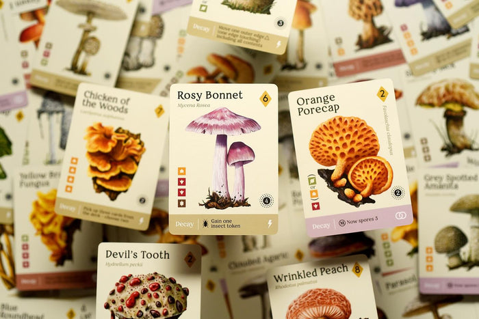Mycelia: Standard Edition - The Strategic Mushroom Game [Board Game]