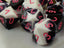 Chessex Gemini Black White Pink 16mm Polyhedral Dice Set (10d10)